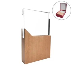 Acrylic Trophy with Wooden Base